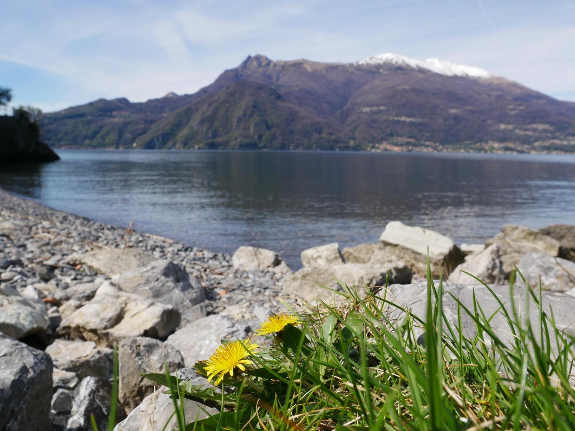 La Riva Appartamento Perledo Exteriér fotografie